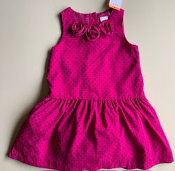 Nwt Gymboree 5t Dress Hot Pink Roses And Polka Dots for Sale in