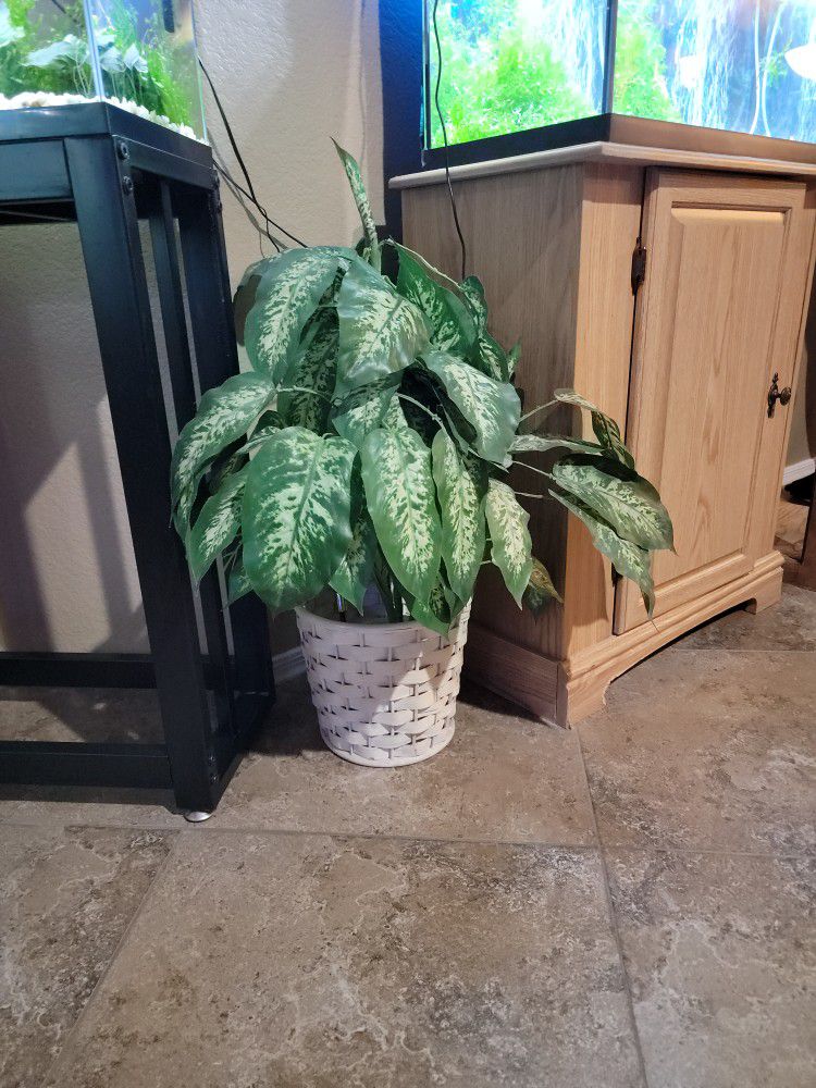 Fake plant with basket 