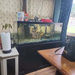 75 Gallon Tank
