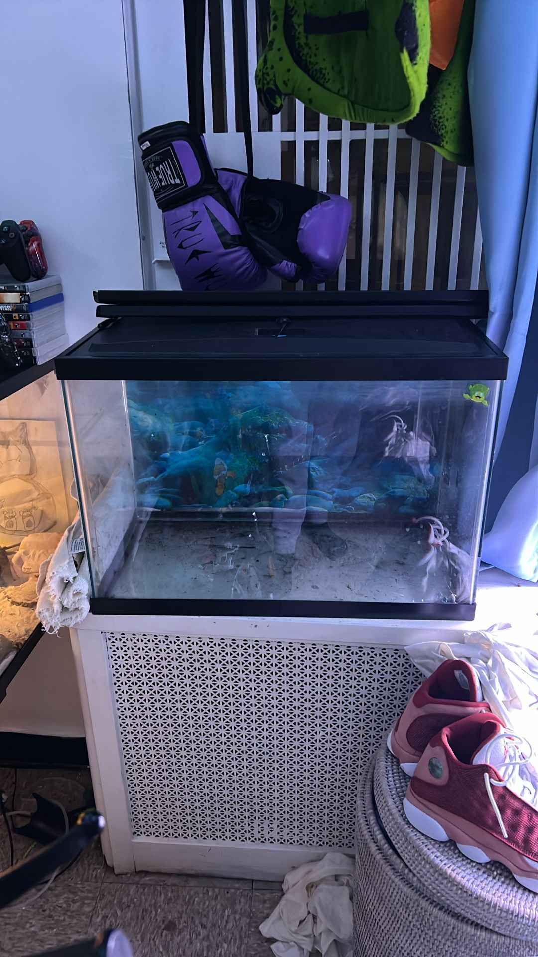 Fish Tank Or Reptile Tank price is negotiable