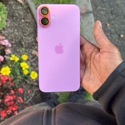 iPhone 16 Plus