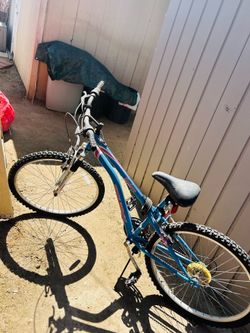 Bike- Murray Bayberry