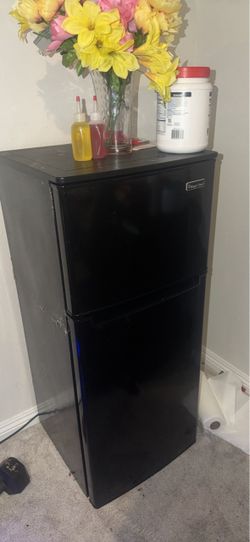 Large mini refrigerator