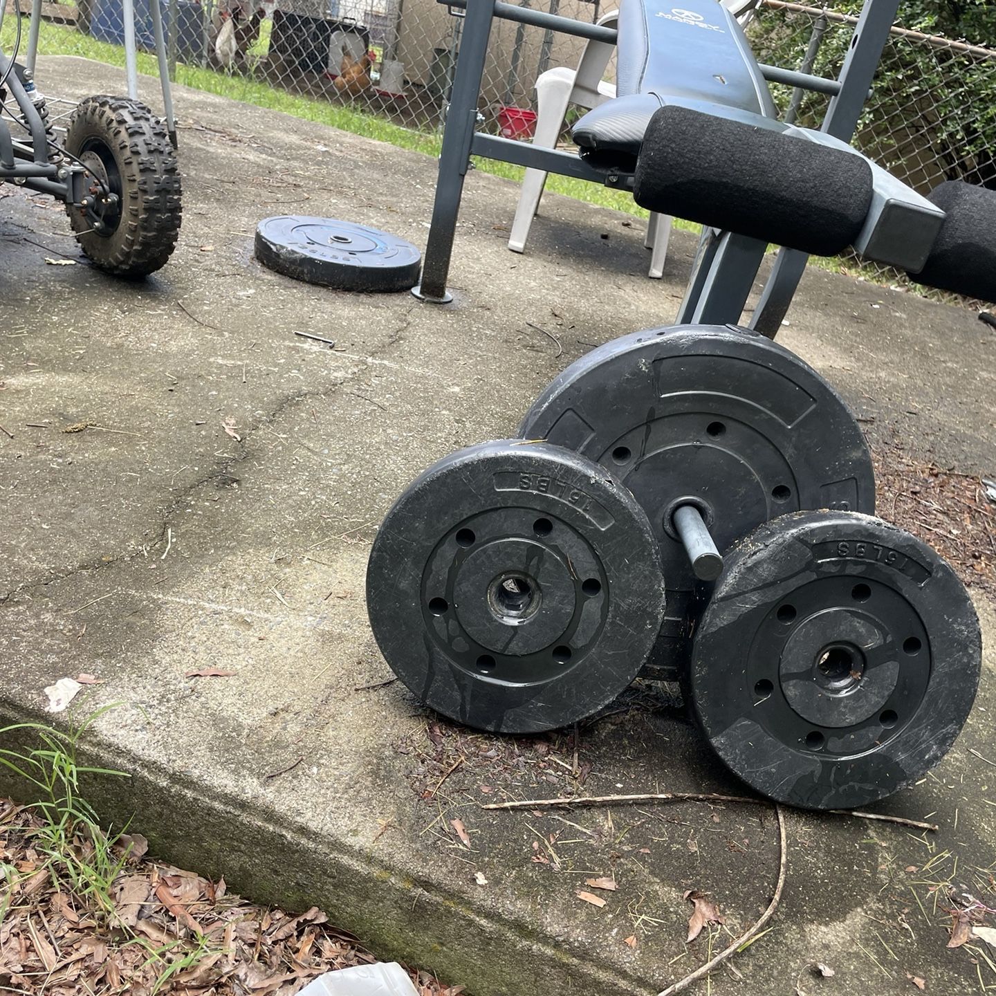 Weight Bench 