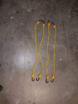 Bungee Cords