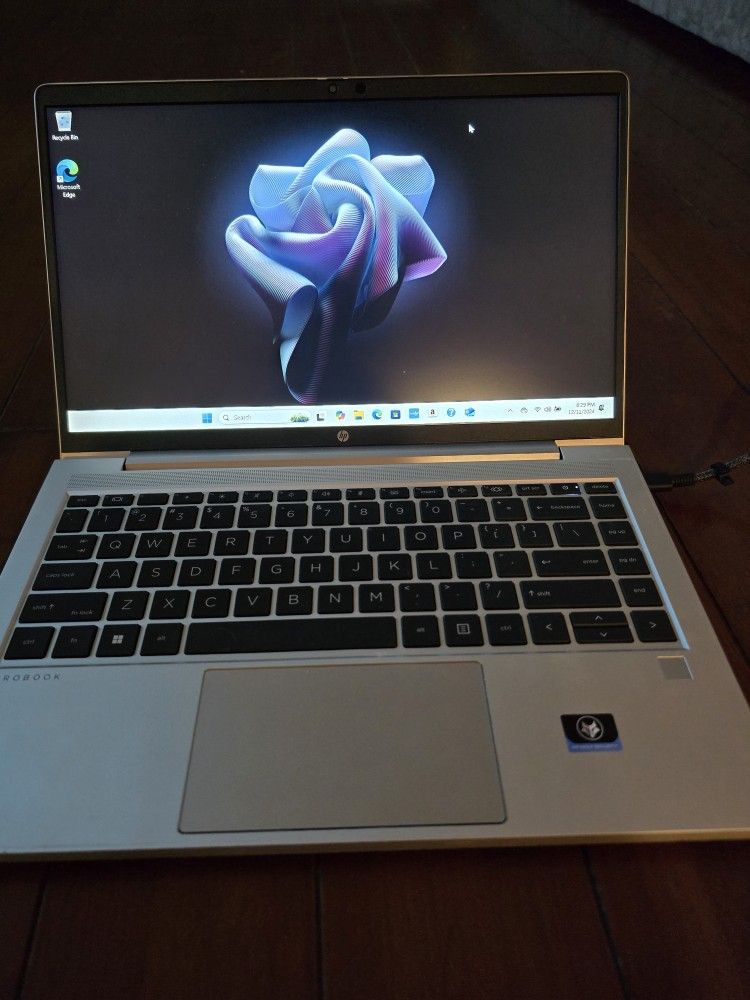 HP PROBOOK LAPTOP