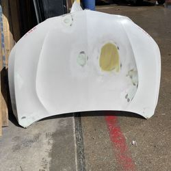 Acura Rdx 2019-24 Hood 