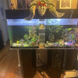 UNIQUE FISH TANK With CONNECTING TUNNELS 