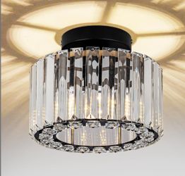 Lights/Light Fixture/Ceiling Light