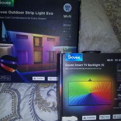 Govee Lights