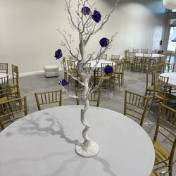 Decorative White Manzanita Tree