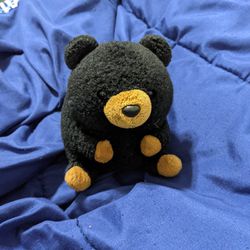 Black And Brown Teddy Bear