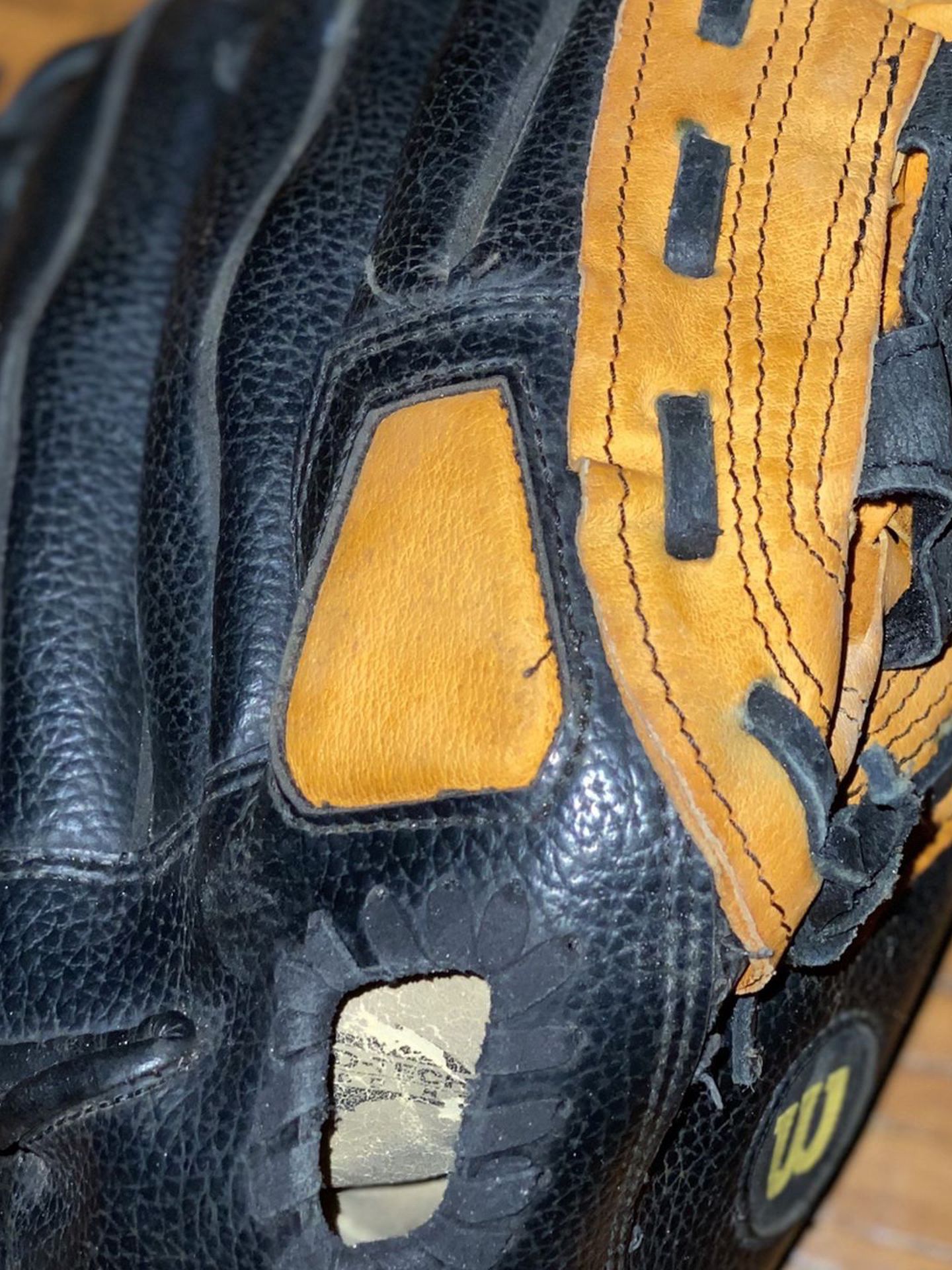 Wilson 11in baseball glove -autographed by Fernando Perez Rays 2008