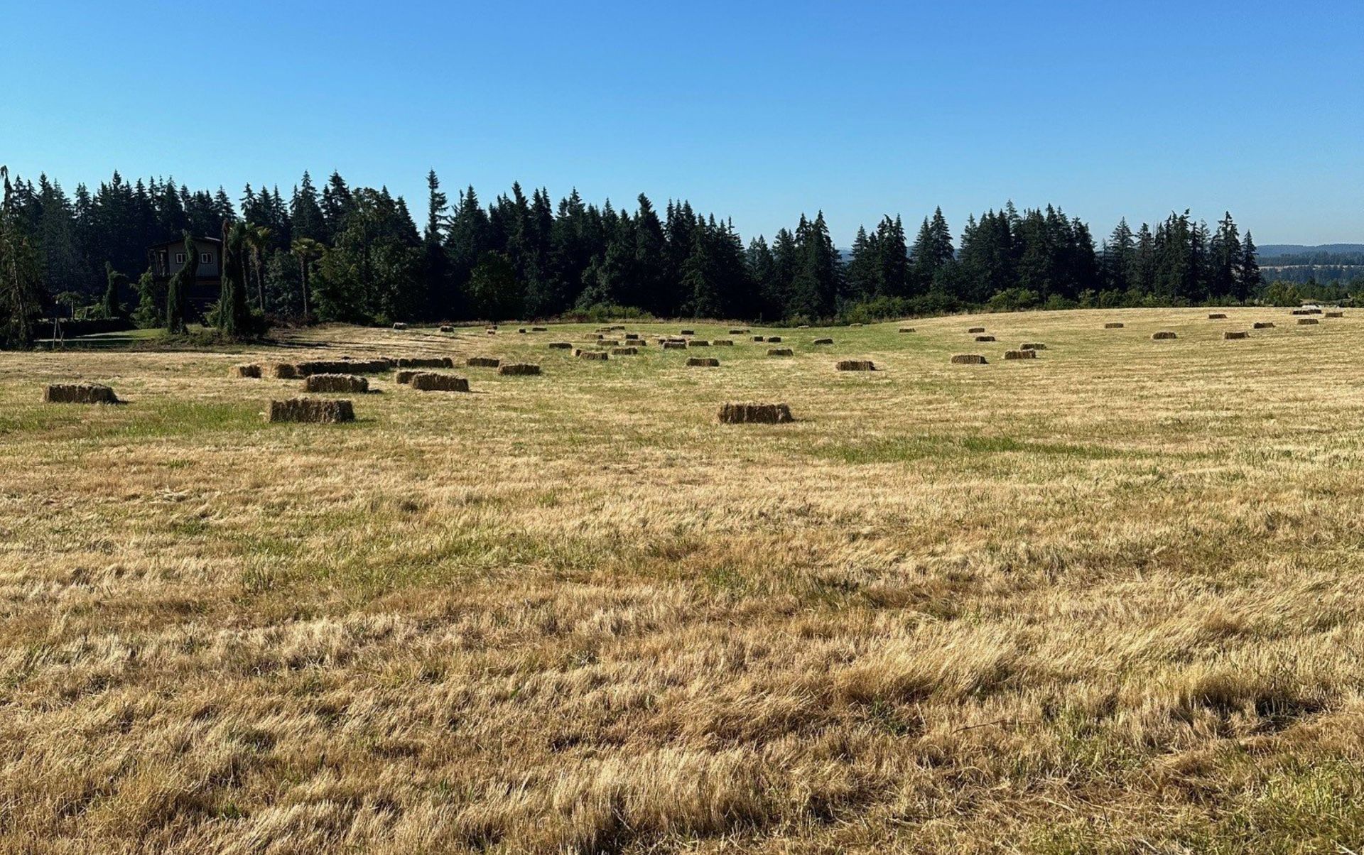 Hay For Sale $7
