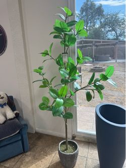 Faux banyan tree