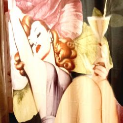 Shower Curtain 