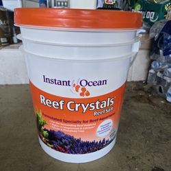 Saltwater Salt crystals