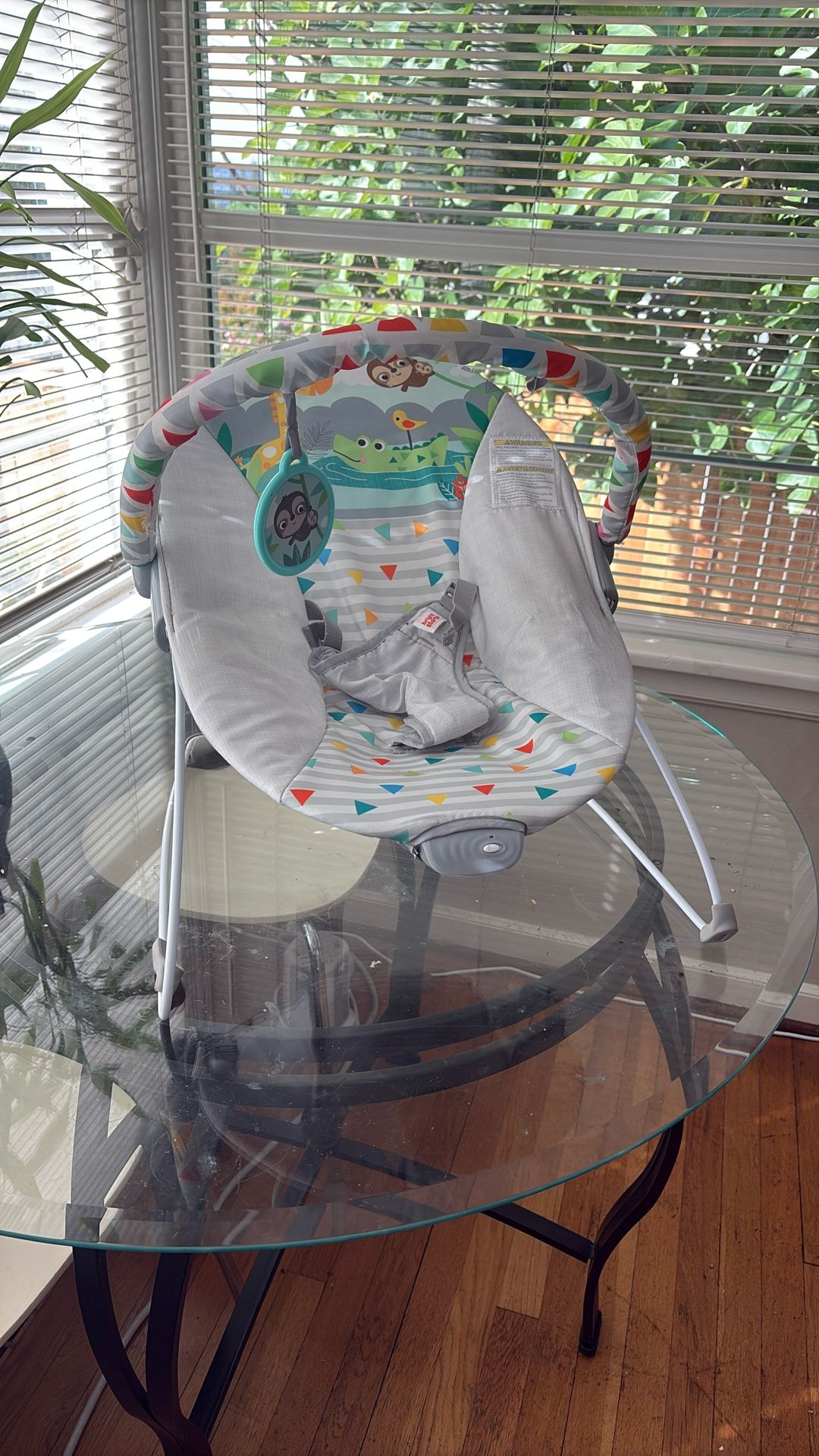 Baby Vibrating Bouncer w Toy Bar