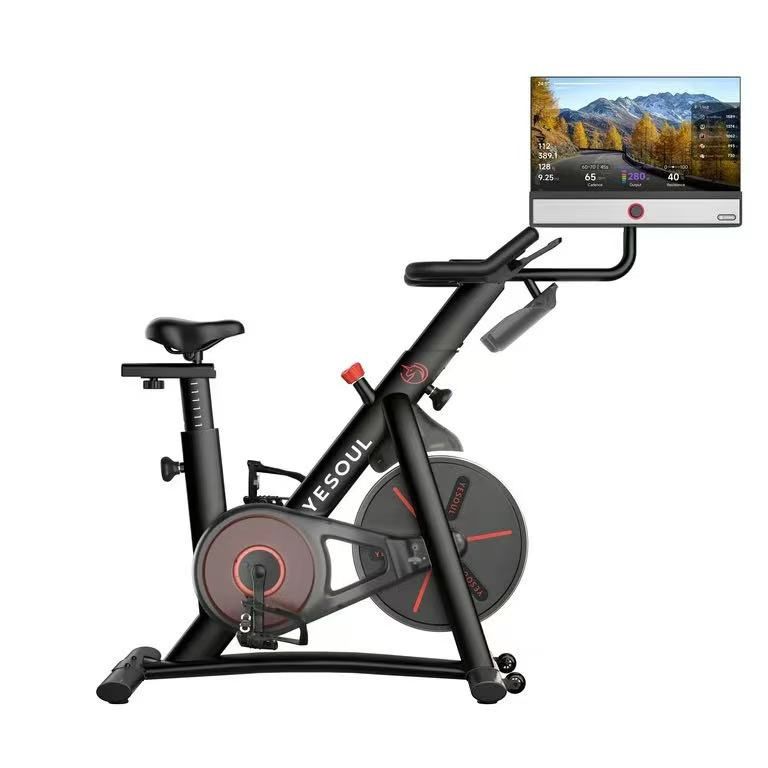 Yesoul G1 Plus Indoor Cycling Bike with 24" HD Screen, 100 Resistance Levels, Magnetic Drive, Black $200