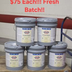 Glidden Essentials 5 gal Delicate White Satin Exterior Paint Like Ppg / Behr / Sherwin-Williams