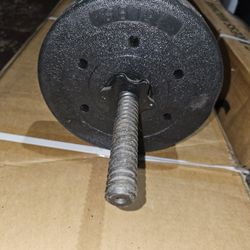 50lbs Vinyl Weight Set With Curl Bar $25