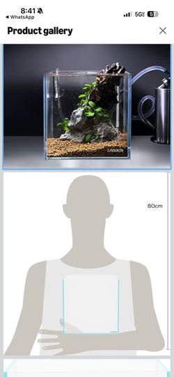 25C 3.7 Gallon Cube Rimless Low Iron Aquarium Tank