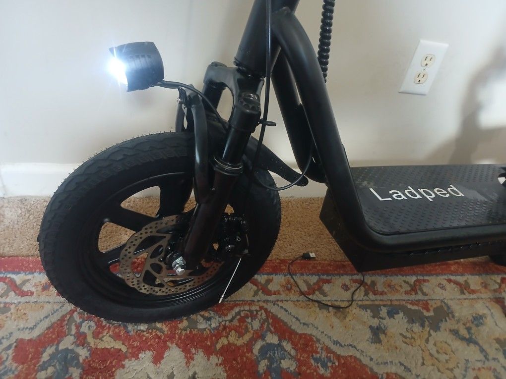 Electric Scooter 