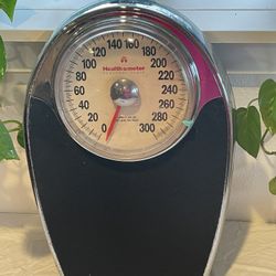 Stainless Steel Scale