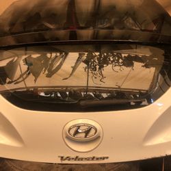 Veloster Tailgate/back door