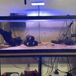 20 Gallon Long With Eos Nano Aquarium Light And Aqua Clear Hang On Back Filter