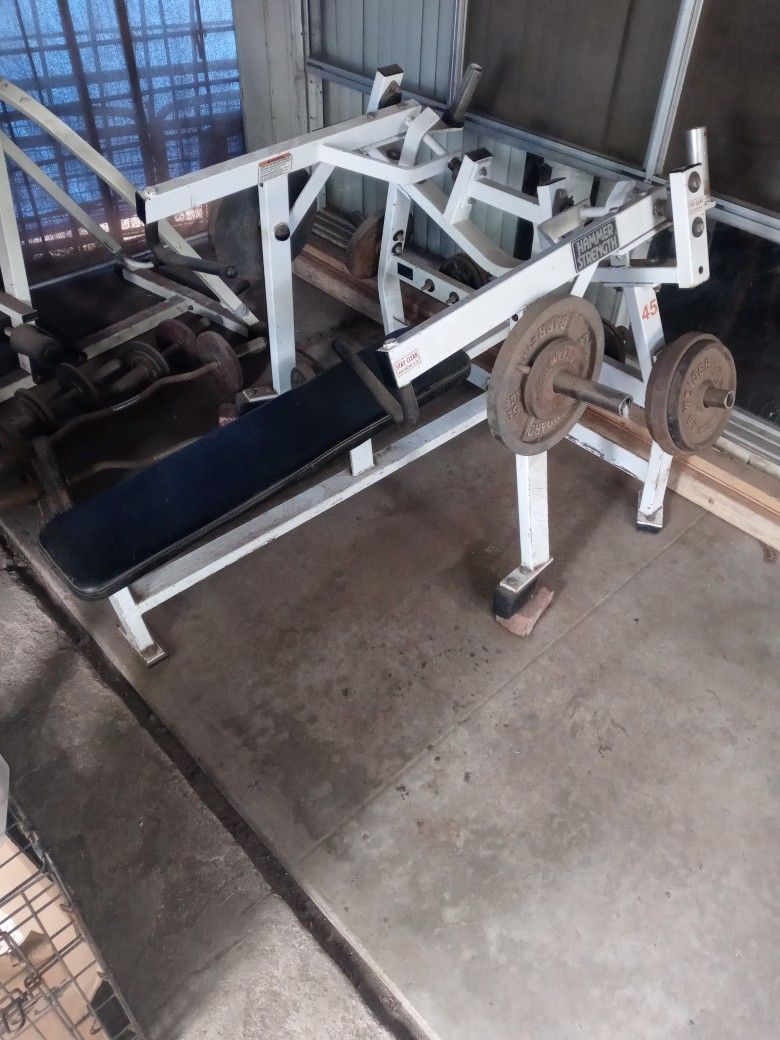 Weight Bench Hammer Strength