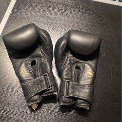 Throw down Boxing Gloves 