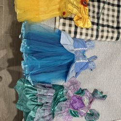 Disney Costumes Size 4t 