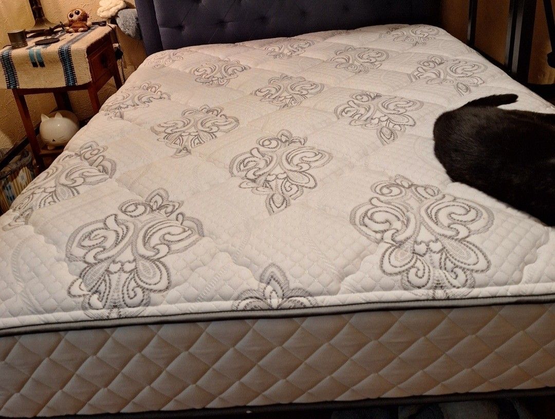 Full-Sized Mattress