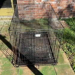 Dog Crate