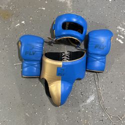 Fly Boxing Sparring Set 