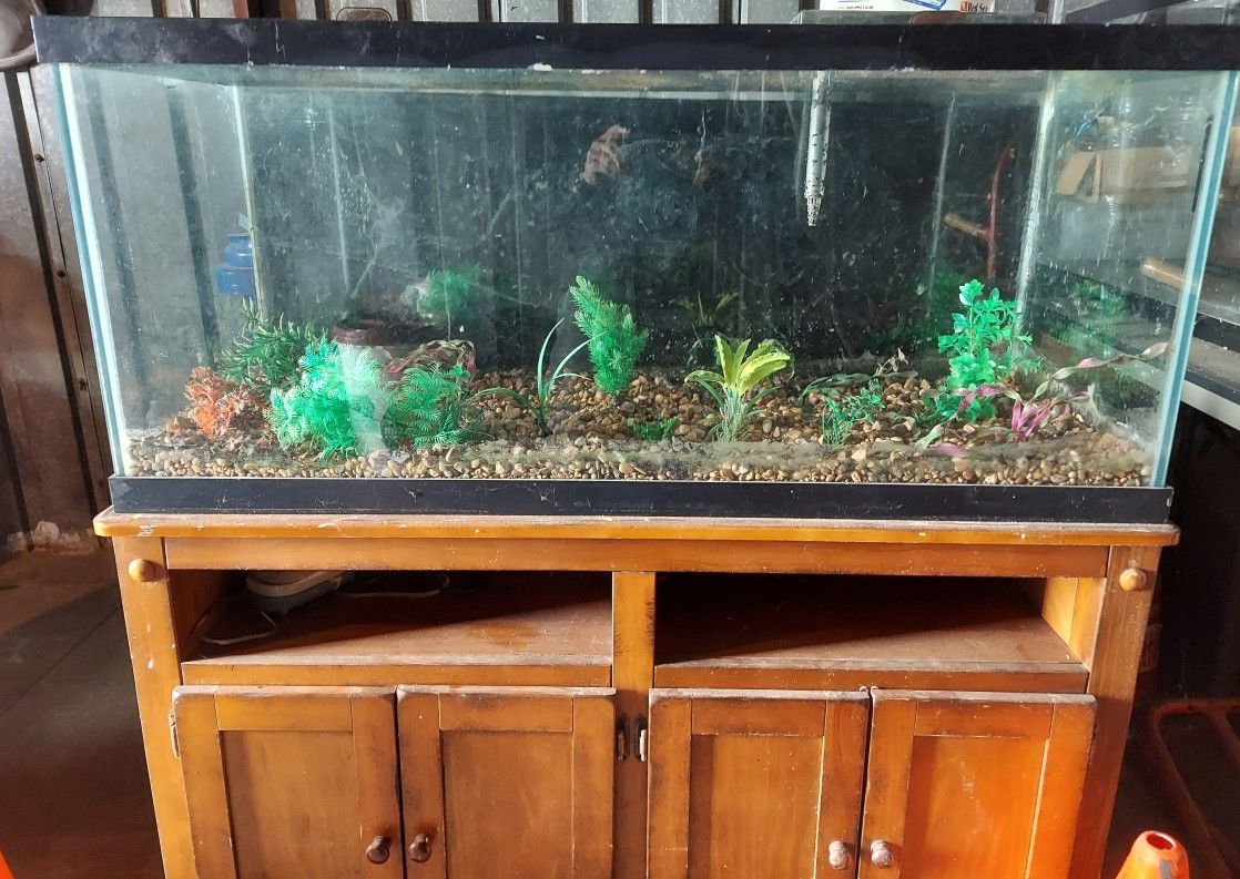 2 FISH 🐟 TANKS 2 DAY ONLY $150