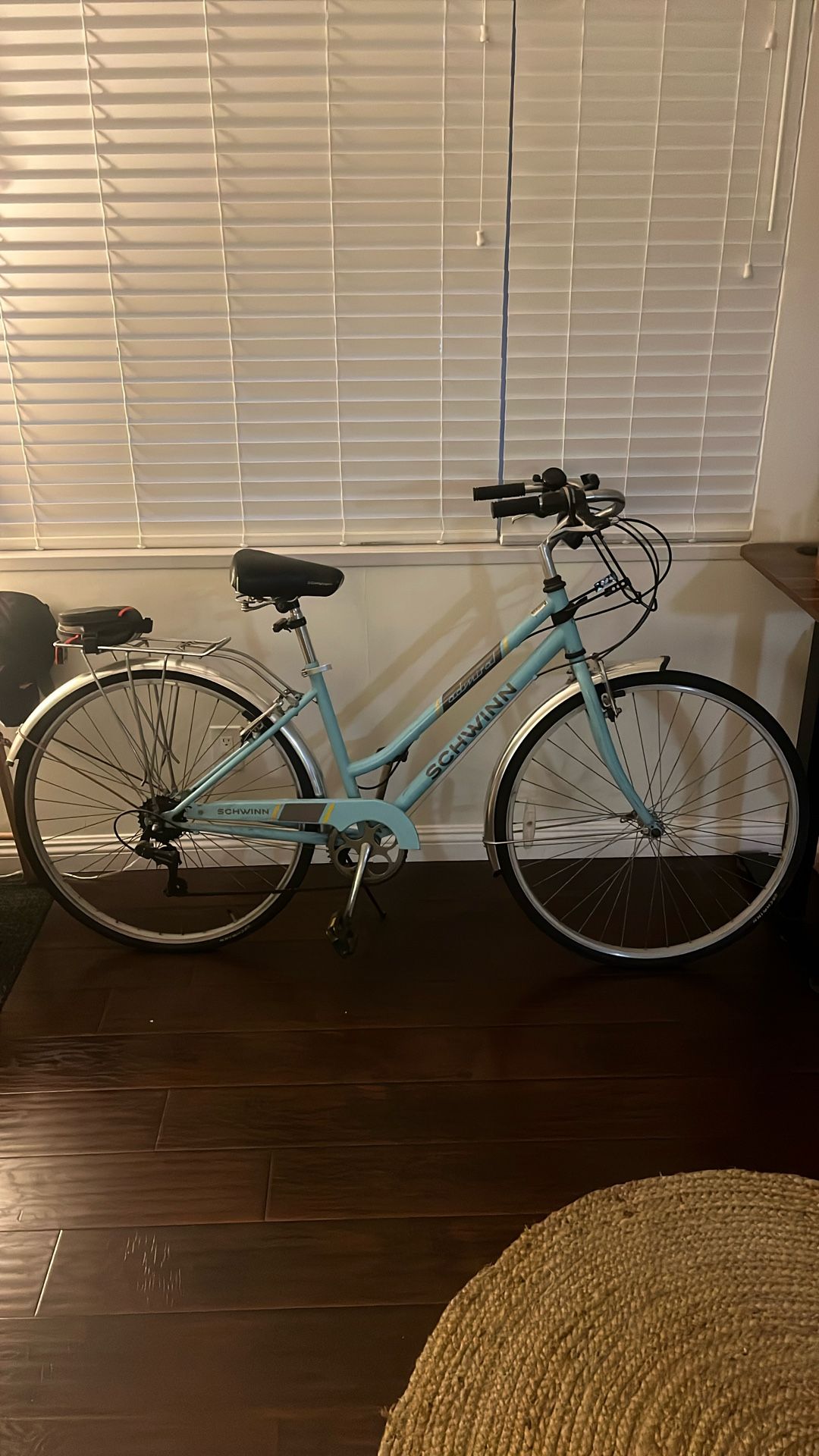 Schwinn Baby Blue Adult Bike