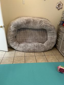 Big Dog 🐕 Bed New