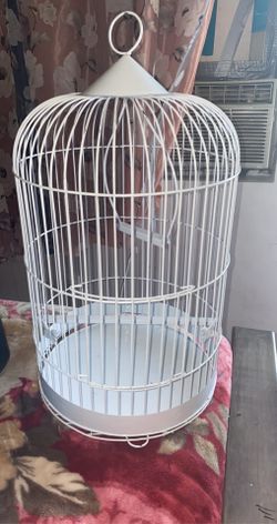 Jaula De Pájaro 