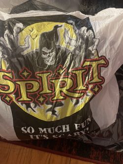 Fallen Angel Costume