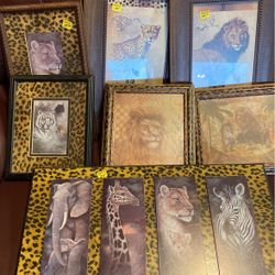 Wild Animal Pictures. $10 Each. The multi pictured one is $20