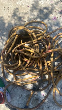 Electric cord