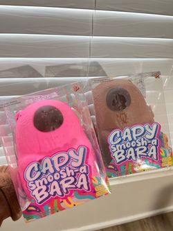 Capybara Squishy