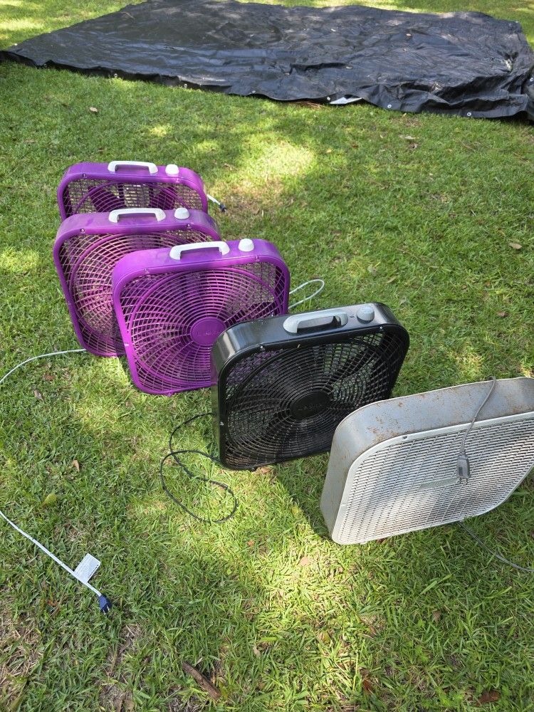 Lot Of 5 Box Fans For $50