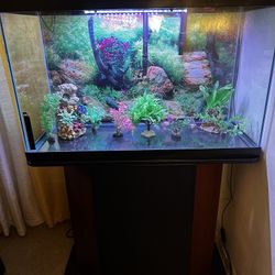 32 Gallon Fish tank With Stand