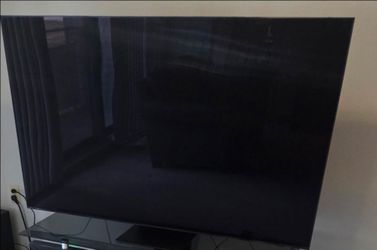 65" Samsung TV screen just went black one day PLEASE READ !
