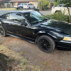 2000 Ford Mustang
