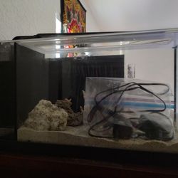 Fluval 5 Gallon Evo X Kit 