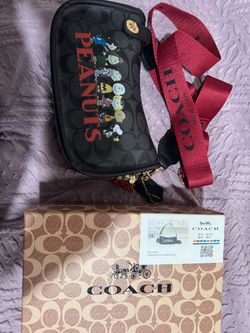 Snoopy purse
